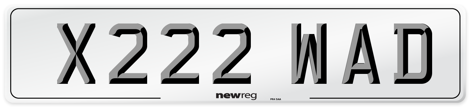 X222 WAD Number Plate from New Reg